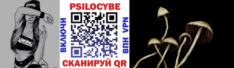 Псилоцибиновые грибы Magic Shrooms ОМГ ОМГ как зайти Бабаево мориарти телеграм где можно купить наркотик
